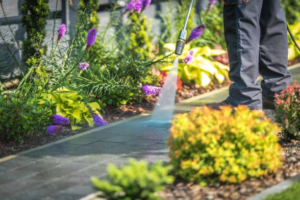 Best Dumpster Area Cleaning  in Clayco, MO